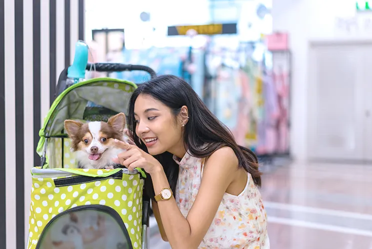 ペット（イメージ）